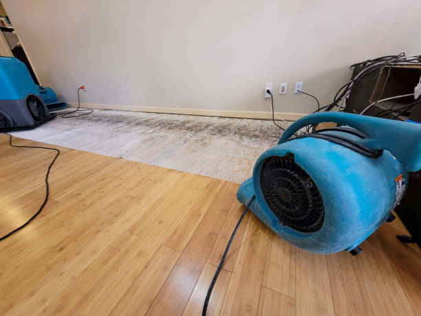 Professional Structural Drying technician working in Ashuelot, NH